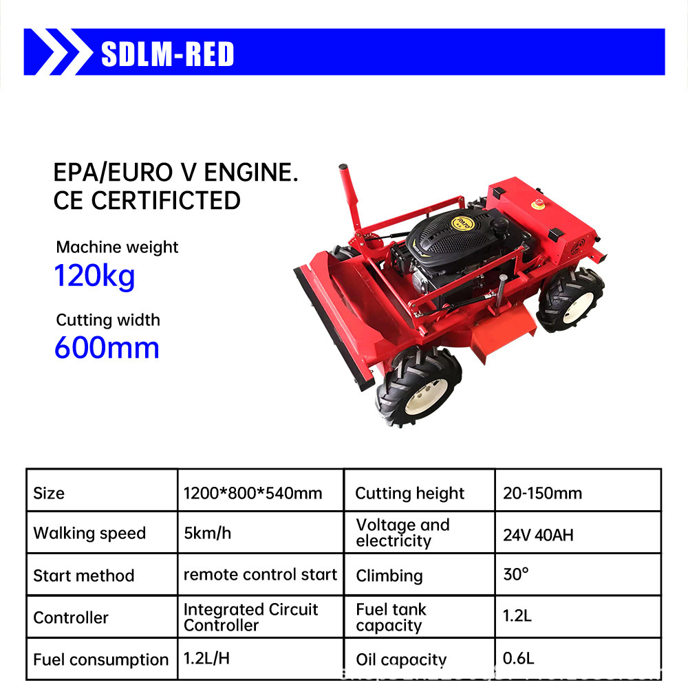 SDLANCH-Shandong-Intelligent-T