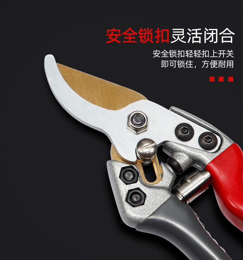 详情-09.jpg