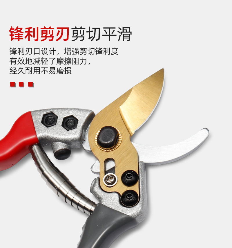 详情-08.jpg