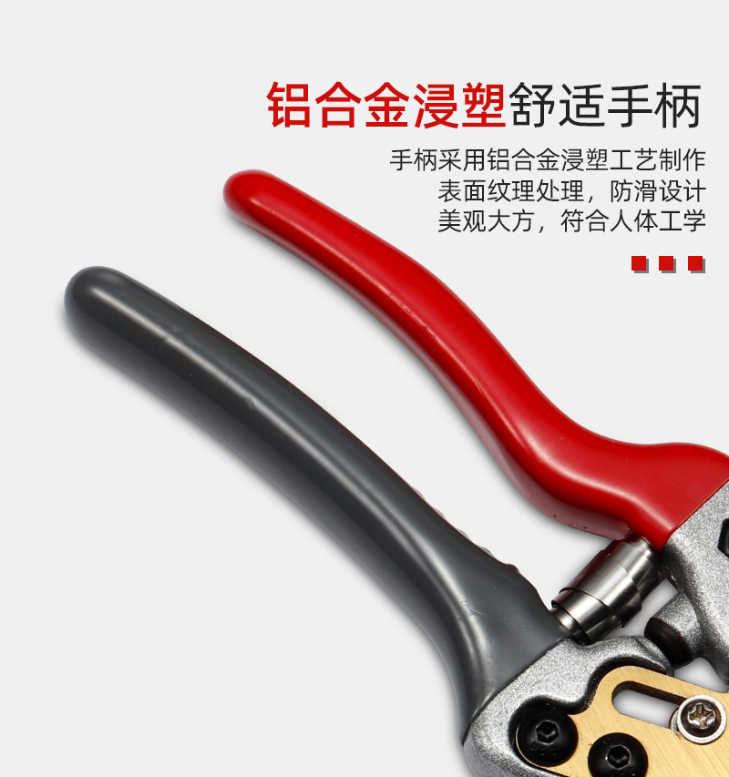 详情-10.jpg