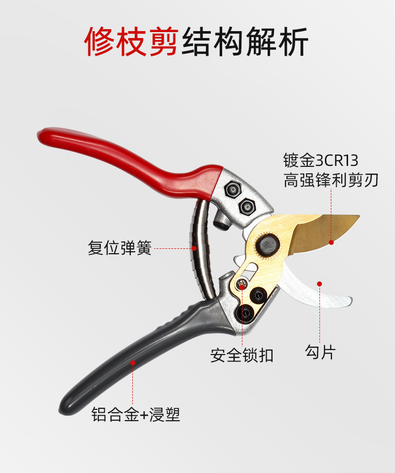 详情-06.jpg