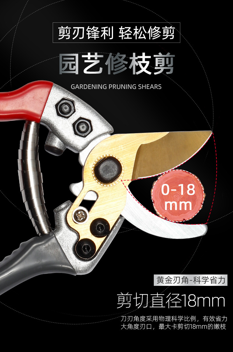 详情-03.jpg