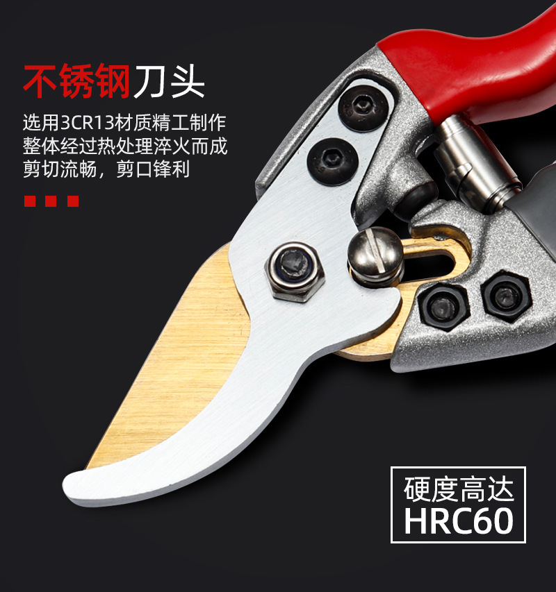 详情-07.jpg