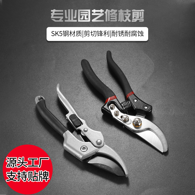 微信图片_202208071725021