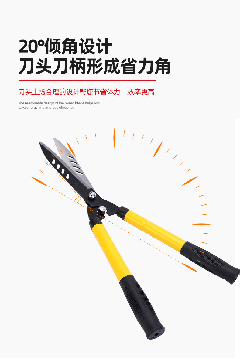 详情-1_13.png