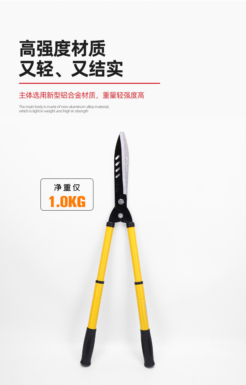 详情-1_15.png