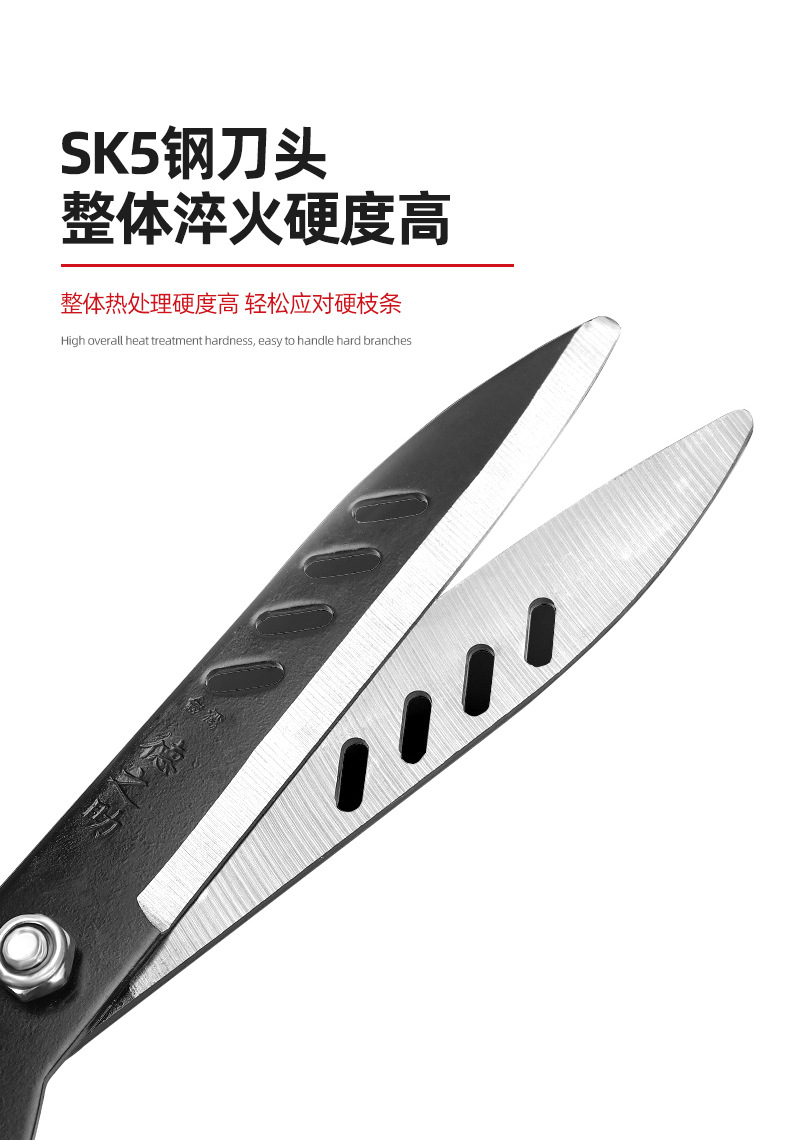 详情-1_12.png
