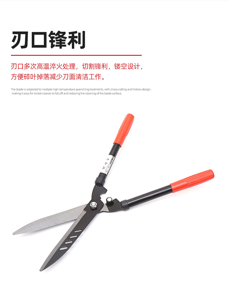 详情-1_02.png